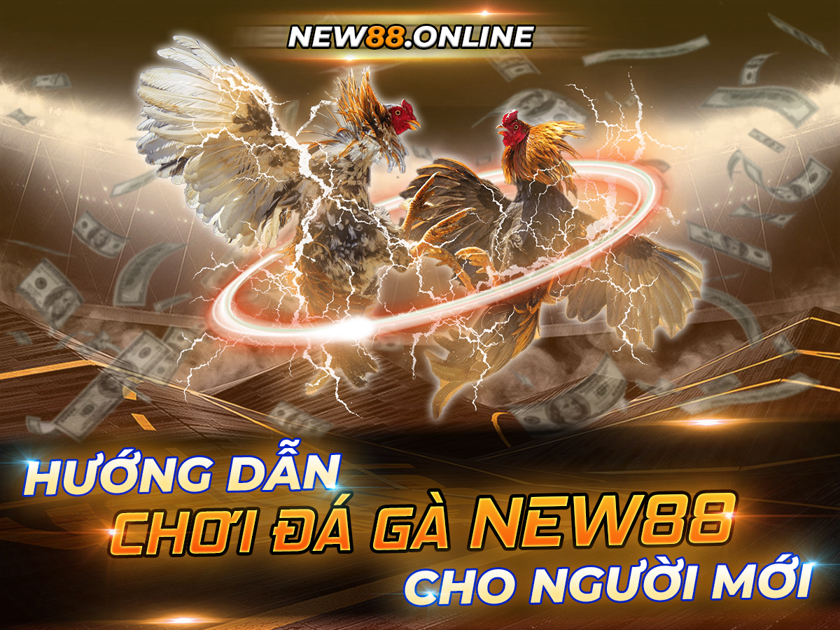 Huong Dan Choi Da Ga New88 Cho Nguoi Moi New88 Trang Chính Thức | Đăng Nhập New88 | Đăng Ký New88
