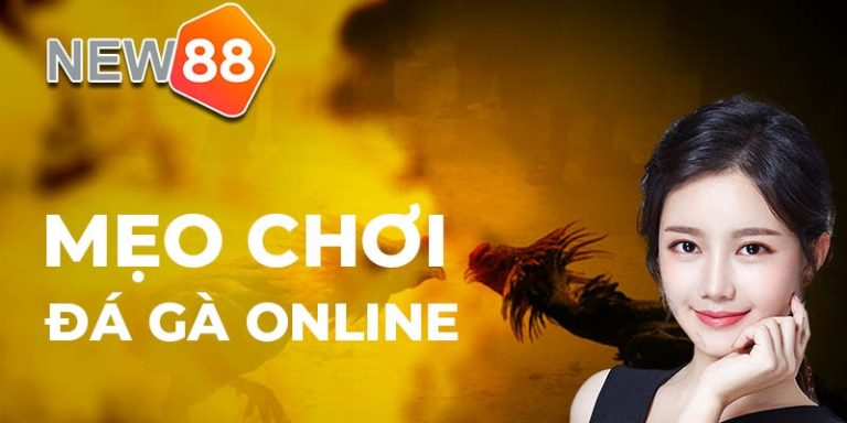Meo Choi Da Ga Online Luon Thang Tu Cao Thu 768X384 1 New88 Trang Chính Thức | Đăng Nhập New88 | Đăng Ký New88