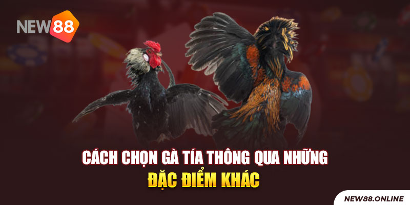 3 Cach Chon Ga Tia Thong Qua Nhung Dac Diem Khac New88 Trang Chính Thức | Đăng Nhập New88 | Đăng Ký New88